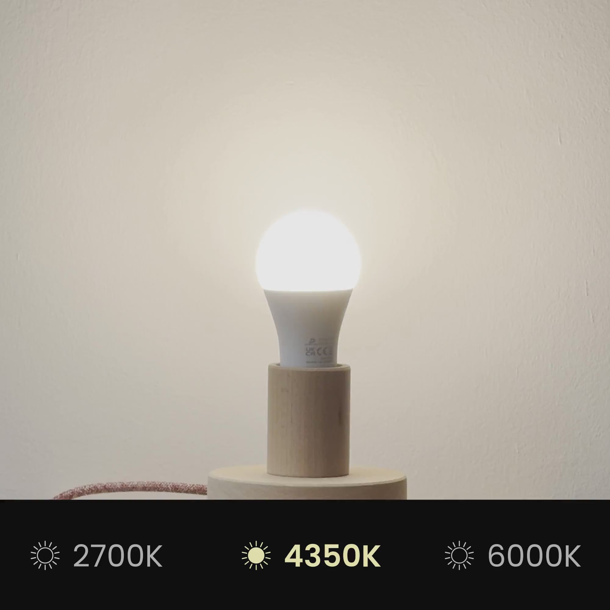 Upload video: Lampeskærm Impero L til bordlampe eller væglampe med E27-fatning - Made in Italy - Teletta Lilla