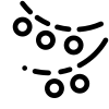<strong>Lys à porter</strong>